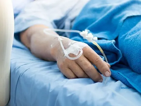Đang hái chè, người phụ nữ bị con vật màu trắng cắn nguy kịch