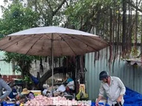 Thịt đông lạnh nhập khẩu: Mua càng nhiều, giá càng rẻ