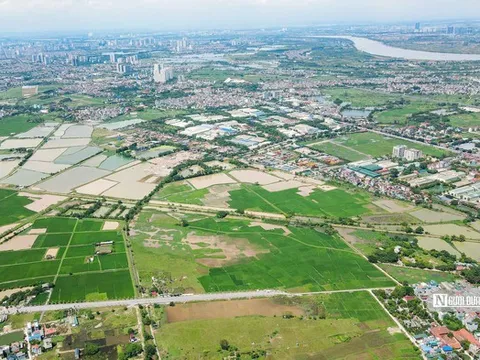 Bộ Tài chính lý giải đề xuất đánh thuế đất bỏ hoang gấp 7 lần đất ở