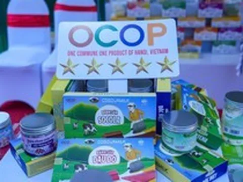 Hà Nội đưa hơn 1.200 sản phẩm OCOP lên TikTok, mở lối đi mới đến người tiêu dùng