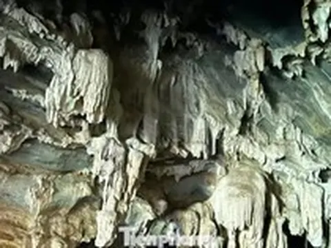Phát hiện hang động nhũ đá lấp lánh ẩn mình giữa đại ngàn Nghệ An
