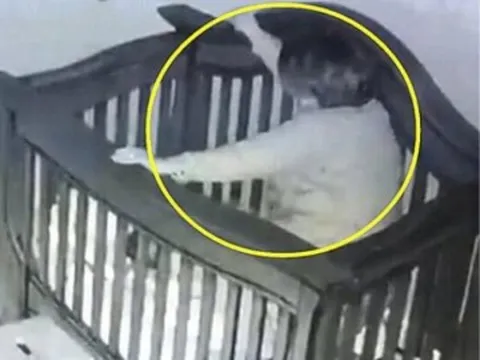 Bà nội bế cháu đi ngủ lúc nửa đêm nhưng xảy ra sự cố thót tim, người mẹ xem camera liền đăng ngay lên mạng