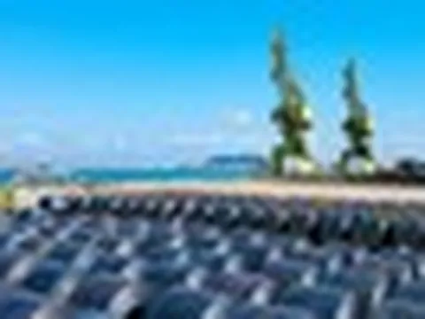 Hàng triệu tấn hàng của Việt Nam ồ ạt đổ bộ Mỹ: hơn 40 quốc gia ưa chuộng, sản lượng 20 triệu tấn/năm đứng đầu ASEAN