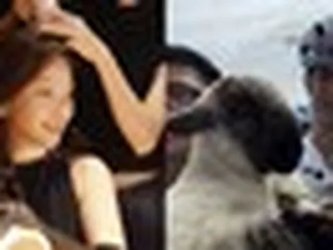 Sự kỳ lạ của Khả Ngân và Nhan Phúc Vinh