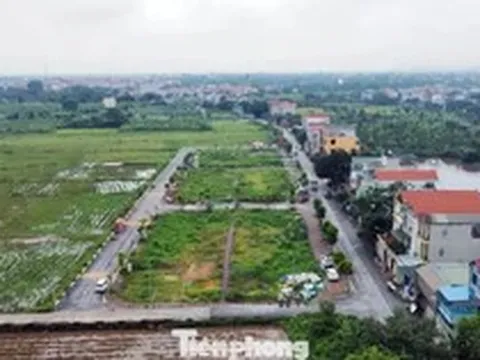 Quy định thế nào là đất bỏ hoang, bị đánh thuế?