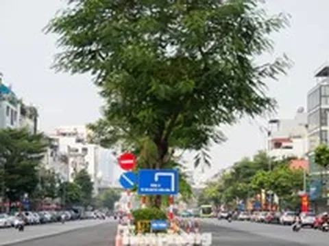 Nút thắt phố Ô Chợ Dừa thay đổi ra sao sau khi mở rộng?