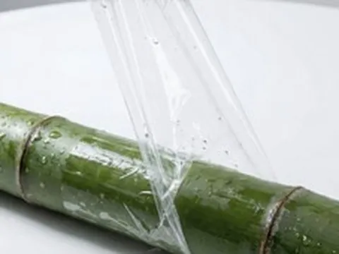 Phát minh của Trung Quốc làm rung chuyển ngành vật liệu: Trộn tre với nhựa, tạo ra loại composite bền hơn 81% và dai hơn 173%, chống được sóng điện từ
