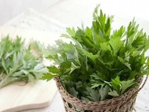 Có sẵn ngải cứu trong bếp, đừng bỏ qua 2 món ăn dân dã tốt cho sức khỏe