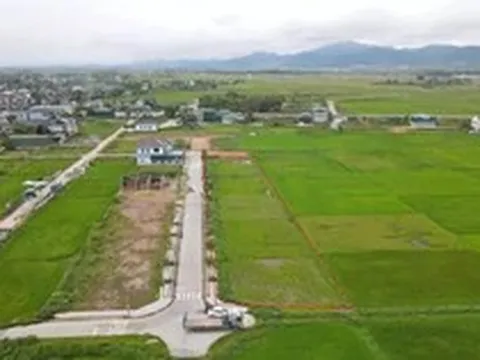 Đấu giá 2 lần không ai mua, 13 lô đất nông thôn dự kiến giảm cả tỷ đồng