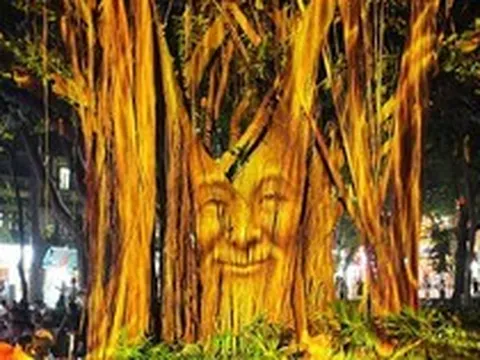 Độc đáo trình diễn 3D Mapping trên cây đa cổ bên Hồ Gươm