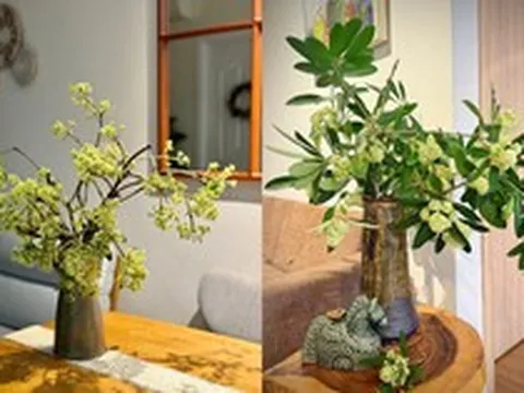 Trend hoa sữa hot nhất năm nay: 20/10 nhiều người xin hoa về cắm cho... thơm