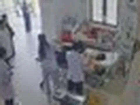Hai vợ chồng bị ong tấn công, bác sĩ gỡ 49 con ong trên đầu người vợ