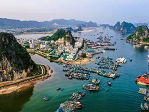 Đặc khu rộng nhất Việt Nam đang triển khai dự án chợ có tổng vốn 147 tỷ đồng, quyết hoàn thành ngay đầu năm sau