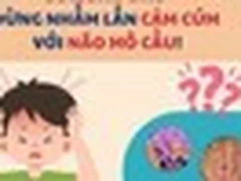 Cúm mùa và não mô cầu đều có thể gây sốt cao đột ngột: Bác sĩ Trương Hữu Khanh chỉ cách phân biệt 2 bệnh