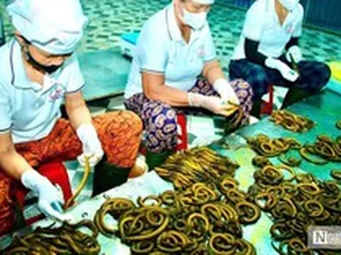 Bất ngờ về làng nghề chế biến con "đặc sản" thu về hàng trăm tỷ đồng mỗi năm