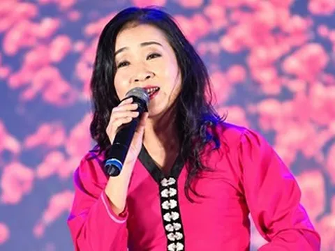 Đại tá, NSND Vi Hoa: Đón cặp song sinh ở tuổi 40 và hậu phương của người lính