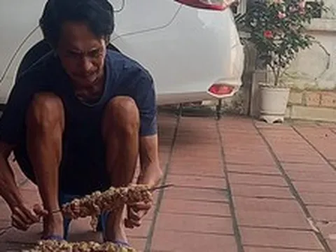 "NSƯT khắc khổ nhất màn ảnh" sống bên vợ kém 25 tuổi ở đường Thụy Khuê, lương 7,5 triệu/tháng