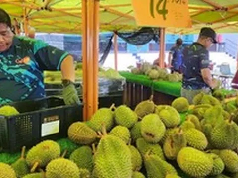 Đua với sầu riêng Việt Nam, Thái Lan, một đối thủ tính mở tuyến đường đặc biệt đi qua 4 nước, đưa sầu riêng tươi sang thị trường tỷ dân Trung Quốc