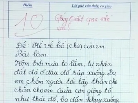 Học sinh lớp 4 viết bài văn kể về bố đạt điểm 10 tuyệt đối, đọc đến đâu giáo viên xúc động đến đó