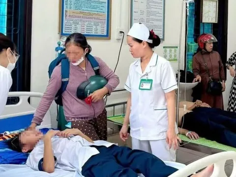 Học sinh ném đá vào tổ ong trong sân trường, 27 em phải nhập viện