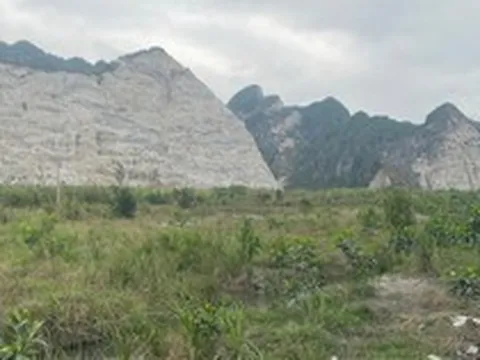 Ecogreen được thuê đất đợt 1 làm nhà máy xử lý chất thải Kinh Môn