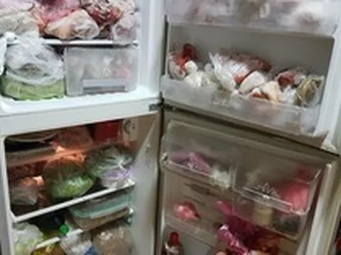 Lời khuyên cho những gia đình mua đồ sạch ở quê cấp đông tủ lạnh dùng dần