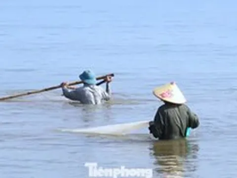 Nghề 'đi giật lùi' kiếm bộn tiền lúc sáng sớm