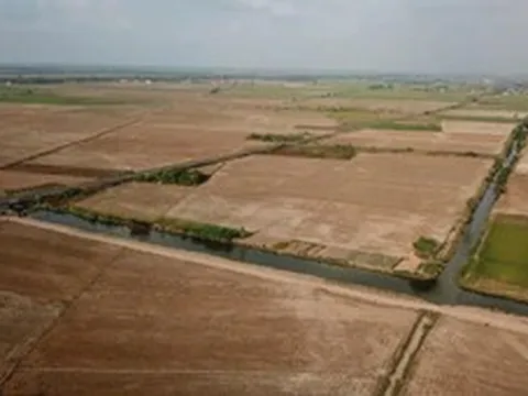 Xâm nhập mặn đến sớm, vào sâu 70-130km, làm gì để bảo vệ lúa và cây ăn trái ở miền Tây?