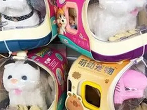 Bán hàng online bùng nổ với 442.000 tỷ đồng, bất ngờ doanh thu chăm sóc thú cưng