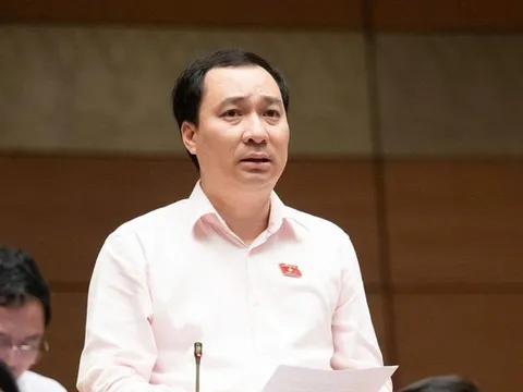 Từ sai phạm tại các dự án Mường Thanh: Không chỉ để chủ đầu tư nộp phạt là xong