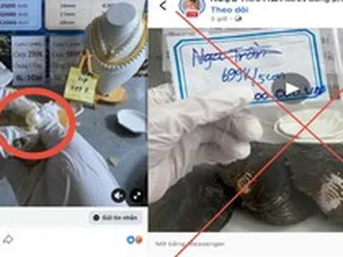 "Khui ngọc trai" trúng tiền tỷ: Công an vạch trần 3 bước lừa đảo