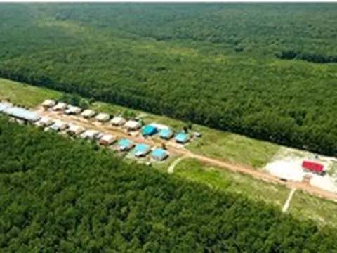 Việt Nam có một đại gia sang Campuchia xây ‘thủ phủ’ cao su: Diện tích trồng hơn 90.000 ha, thu về hàng nghìn tỷ đồng mỗi năm