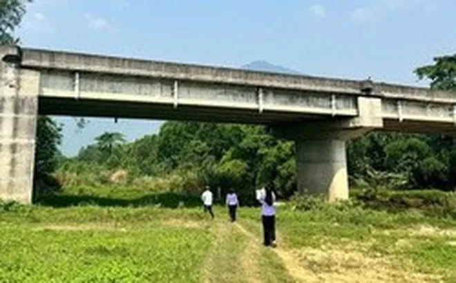 Ba cây cầu xây xong chưa có đường dẫn, Viện kiểm sát ở Đà Nẵng vào cuộc